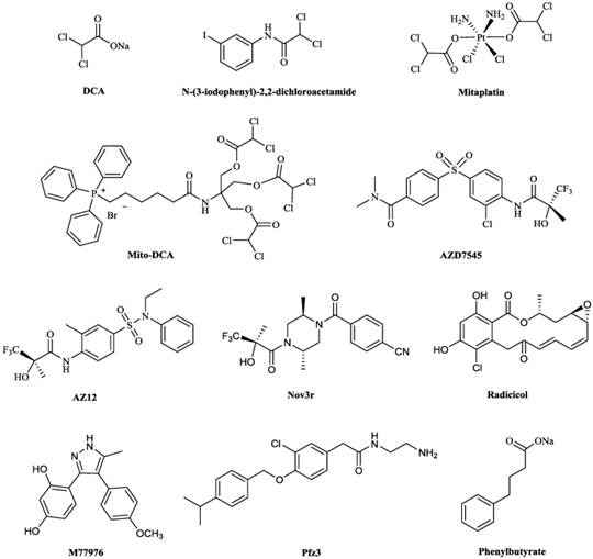 PDKs inhibitor 구조