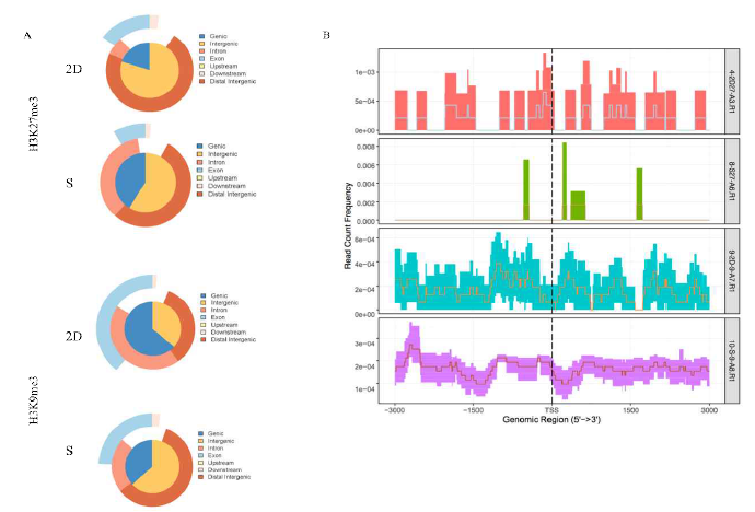 2D와 S간의 ChIP-seq data