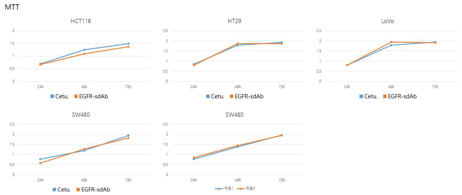 MTT assay. 흡광도를 측정한 결과 세툭시맙과 EGFR 표적 단일도메인항체가 대장암 세포의 증식과 생존율에 미치는 영향의 차이는 그게 없었으며, 특정 세포에 따라 영향의 차이가 나타남