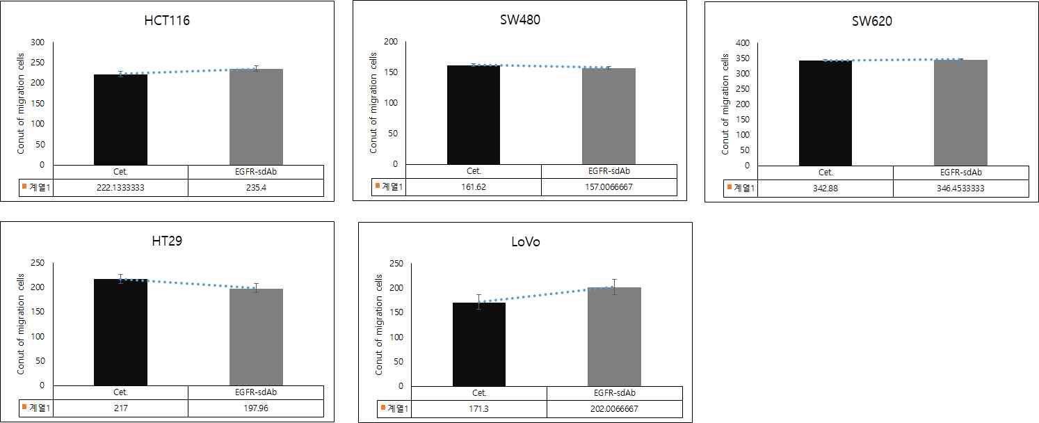Trans well을 통과하는 대장암 세포의 이동에 EGFR 표적 단일도메인항체의 영향은 세툭시맙이 주는 영향과 비슷하였음