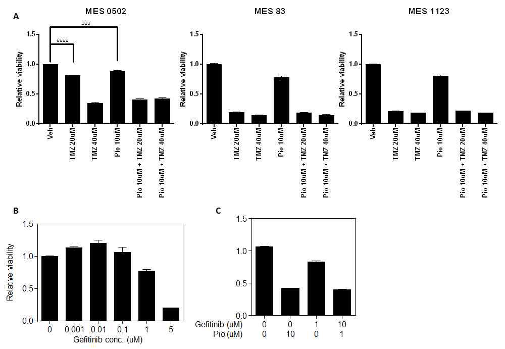 Temozolomide 또는 EGFR TKI와 pioglitazone의 교모세포종 세포 성장 효과 분석 각 교모 세포종 아형 Mesenchymal 세포주들 (0502, 83, 1123)에서 temozolomide ( A ) , gefibinib(B), pioglitazone 또는 병용 처리(A-C)에 따른 cell viability를 조사하였음