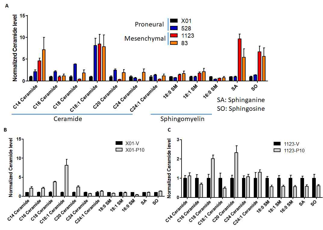 교모세포종 아형 세포주에서 lipid metabolomics 분석 교모세포종 Proneural과 Mesenchymal type 세포주들에서 기본적인 lipid profile과 pioglitazone 처리에 따른 lipid metabolomics를 수행하였음. (A) Proneural X01과 528 세포주와 Mesenchymal 1123과 83 세포주에서 ceramide와 sphingosine profile 분석. (B,C) 핵수용체 PPARγ 리간드인 pioglitazone처리에 따른 ceramide와 sphingosine/ sphinganine 프로파일 조사. Proneural X01과 Mesenchymal 1123 세포주에 pioglitazone을 처리 전후에 따라 ceramide와 sphingosine/ sphinganine profile을 실시 하였음