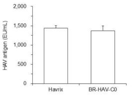 1임상용 0개월 BR-HAV-C0 백신의 HAV 항원가 분석