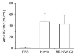 1임상용 3개월 BR-HAV-C3 백신 및 HavrixTM 백신 복강주사 투여군의 anti-HAV IgG 항체 분석