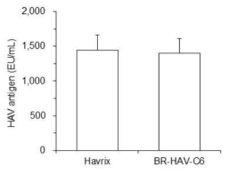 1임상용 6개월 BR-HAV-C6 백신의 HAV 항원가 분석