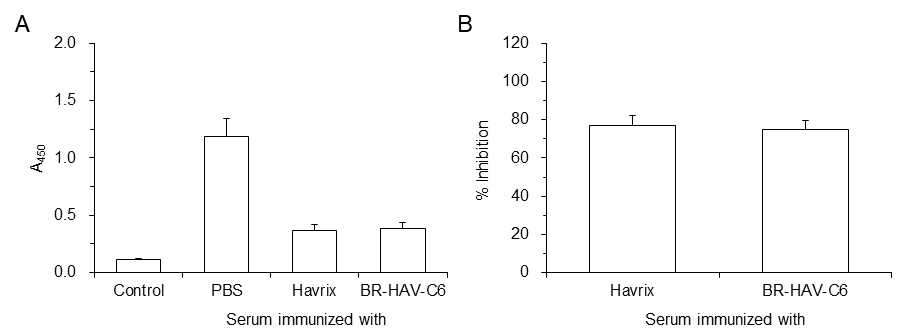 HAV 바이러스와 1임상용 6개월 BR-HAV-C6 또는 HavrixTM 백신이 면역된 마우스 혈청의 HAV 바이러스 중화능력 분석