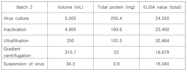 Hepatitis A virus 생산 (B)