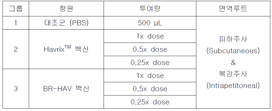 동물면역실험 항원 투여량 및 투여경로