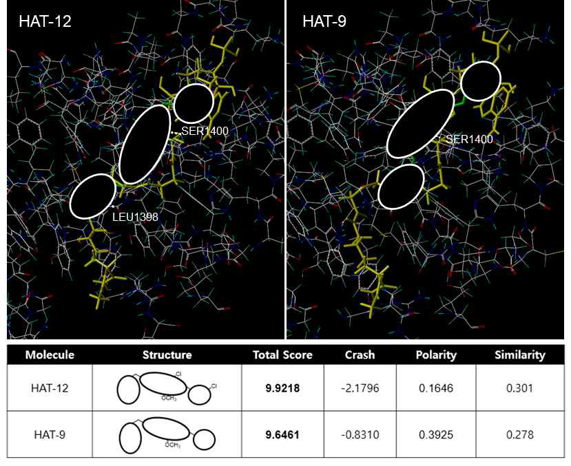 화합물 2종 (HAT-12, HAT-9)의 분자 도킹 분석 결과