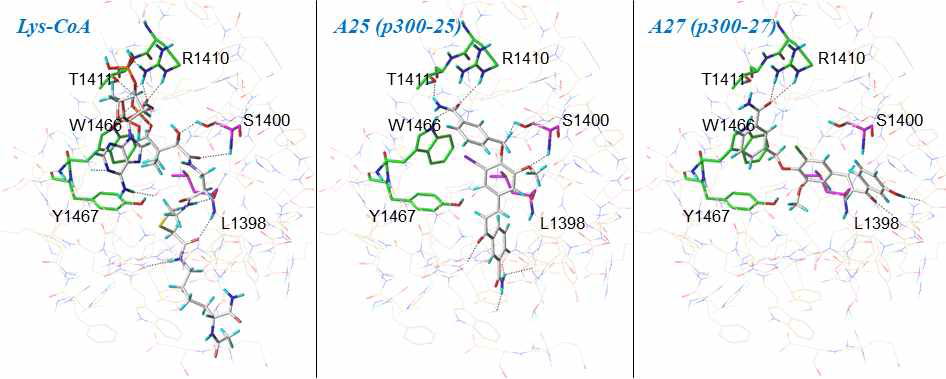 A25와 A27의 분자 도킹 시뮬레이션