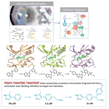 구조기반 lead optimization을 통한 좀더 강력한 친화력을 가진 물질 디자인
