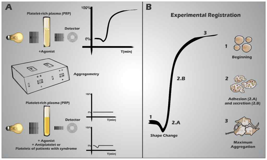 Aggregeometry를 이용한 혈소판 응집