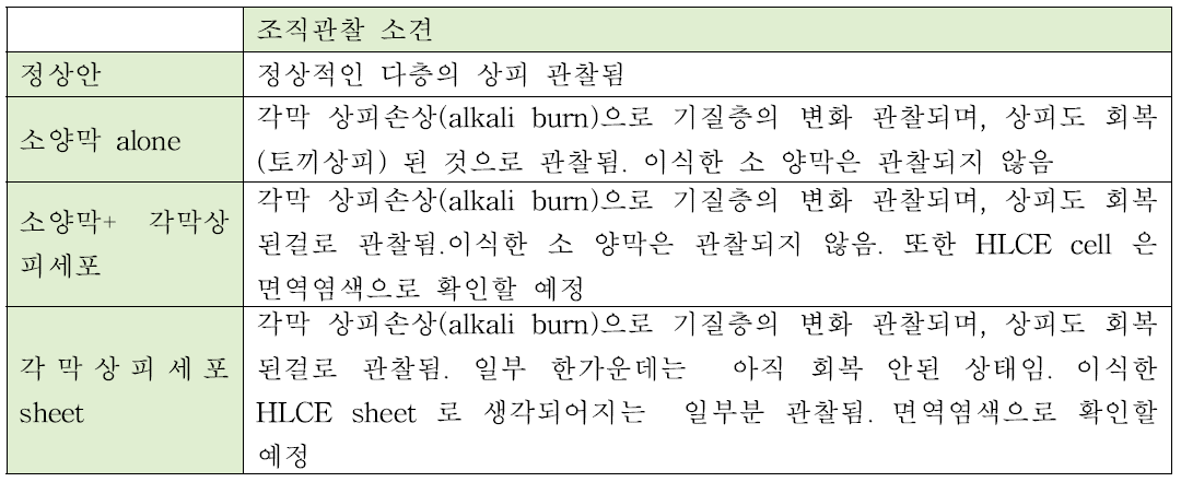 1차년도 동물실험 관찰 결과