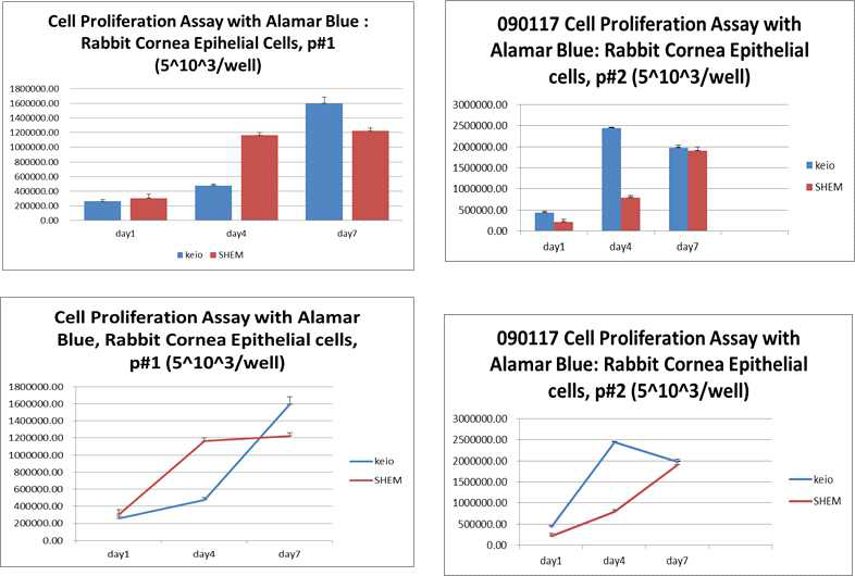SHEM 배지와 Keio 배지에서 각막 상피배양 시 증식확인