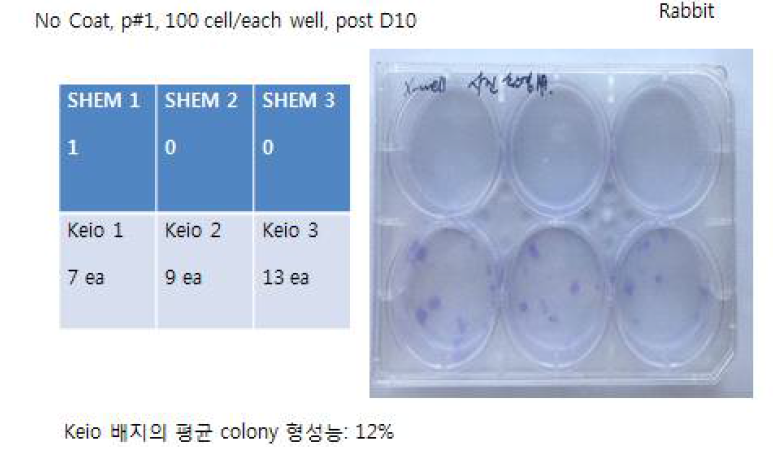 SHEM 배지와 Keio 배지에서의 colony-forming assay 비교