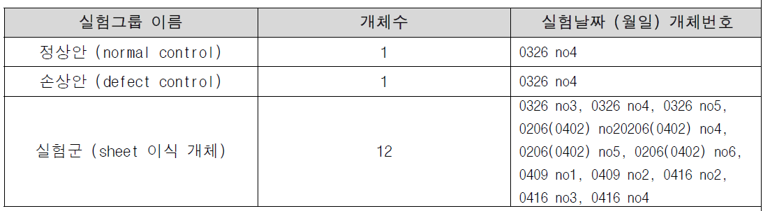 실험 그룹