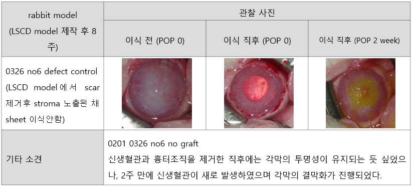 손상안의 관찰 결과