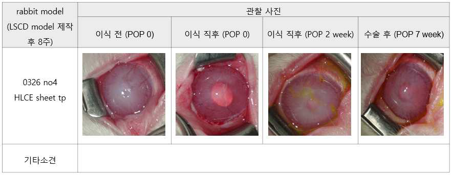 실험군1의 관찰 사진 결과