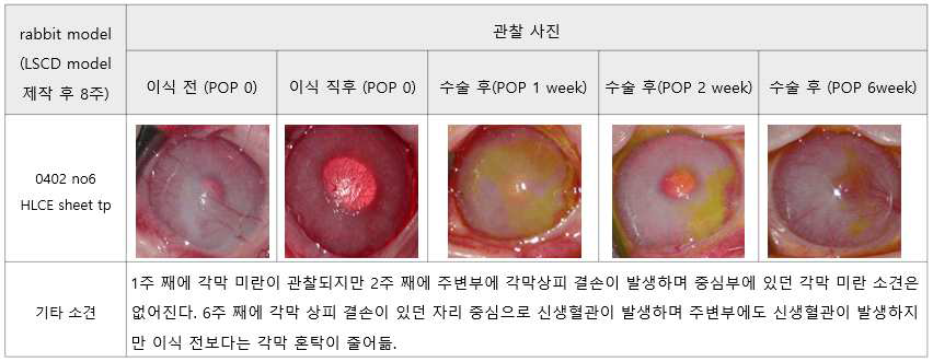 실험군 2의 관찰 사진 결과