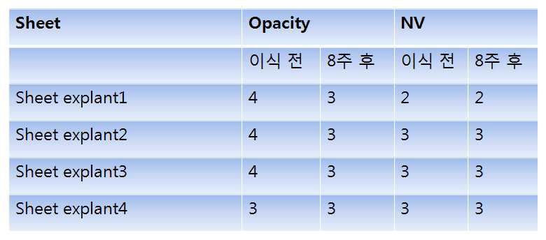 각막상피세포시트 이식 전과 8주 후 opacity와 NV 정도