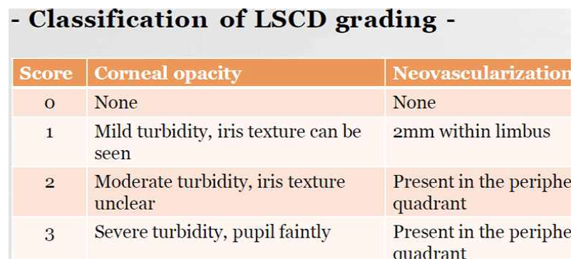 Classification of LSCD model