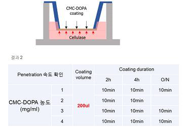 코팅 농도에 따른 cellulase 침투 속도 확인