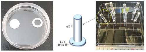 제작한 세포시트 이식용 지지체 및 이동용 툴