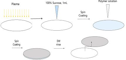 127 Plasma 처리와 sucrose 처리를 이용한 peel off 과정