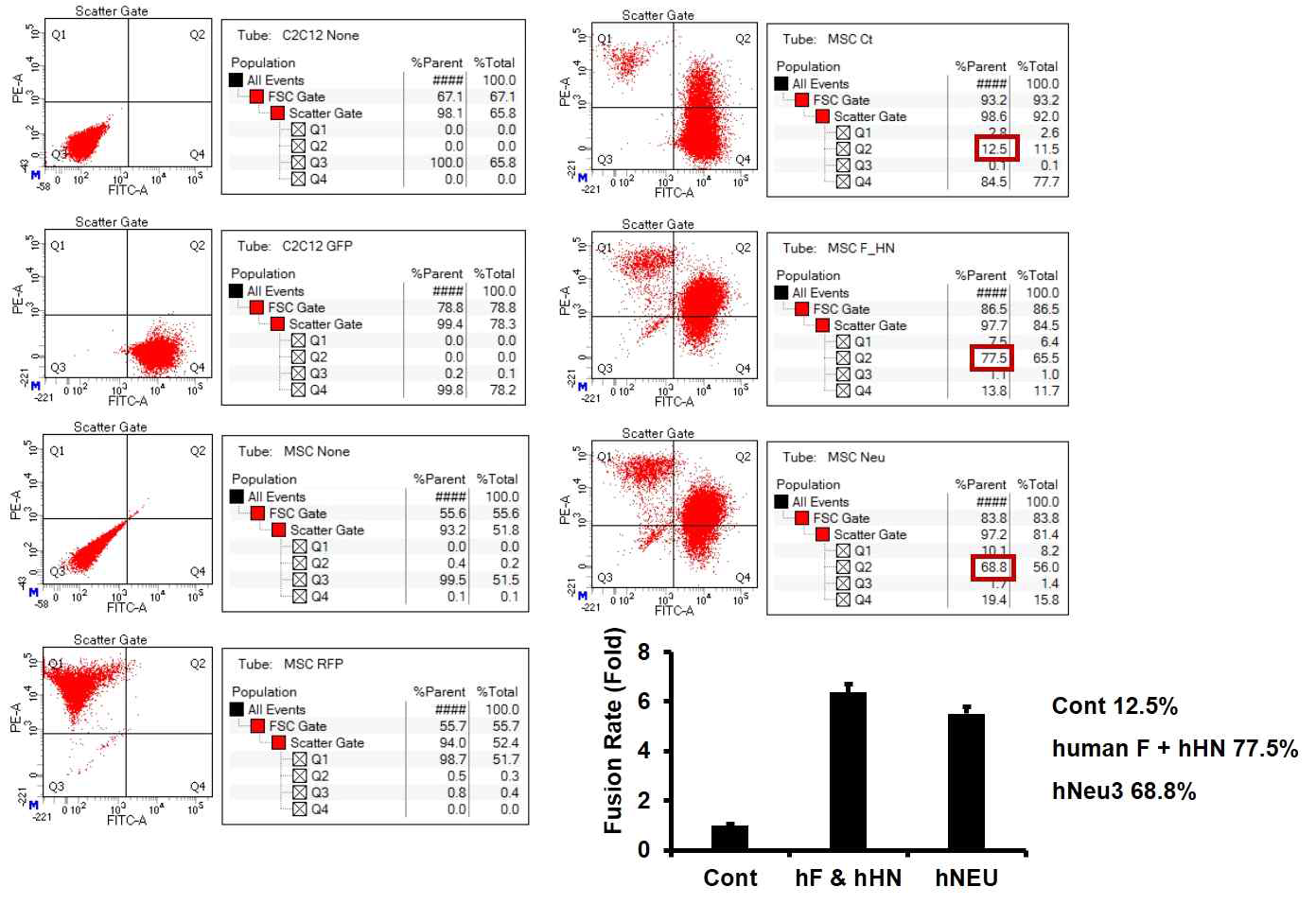 Human rubulavirus F & HN and human fusion protein Neu3의 세포융합률 비교