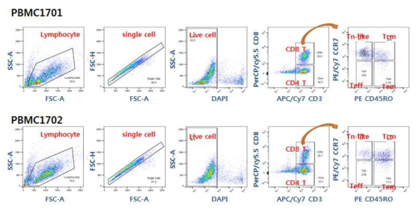 T 세포 분화 3일 후, FACS 분석을 통하여 T cell subpopulation 확인