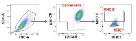 종양세포 확인 gating strategy