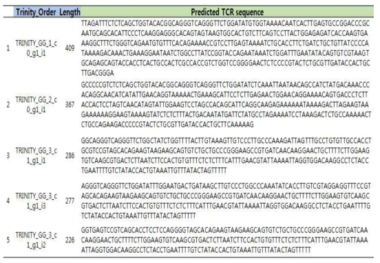 BC16092 샘플로부터 Trinity 프로그램을 사용하여 분석된 TCR sequence 일부