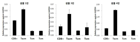 Tscm에서 차별 발현되는 A유전자에 대한 발현 검증