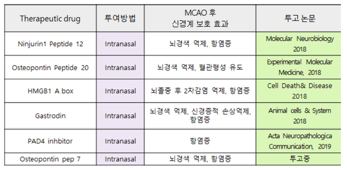 본 연구자가 연구 수행되는 동안 보고한 비강투여 약물의 뇌졸중 후 신경보호 효과 정리