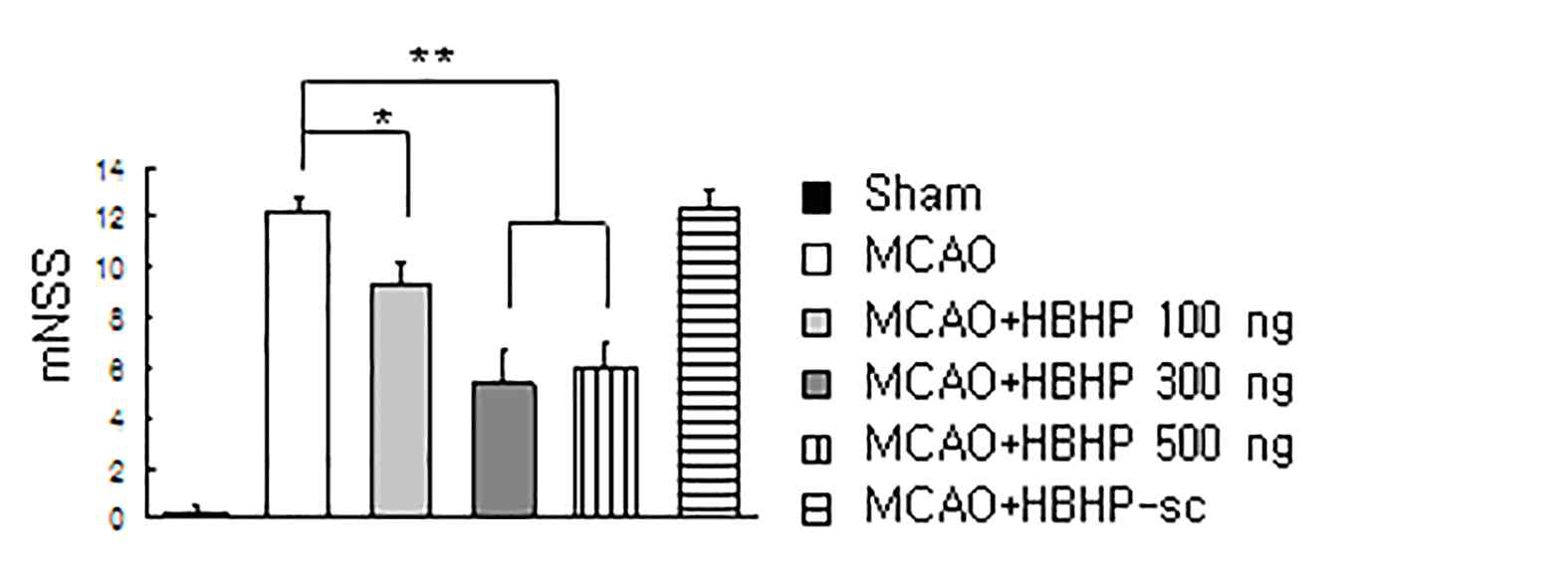 HBHP1을 비강투여 한 후 Neurological deficits 조사