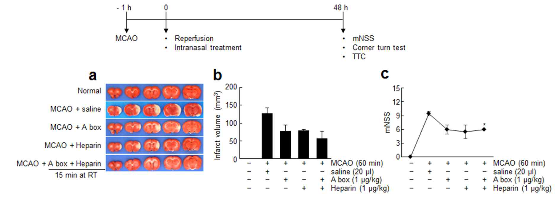 HMGB1 A box와 heparin의 비강을 통해 병용투여한 후 뇌경색 억제 효과 조사