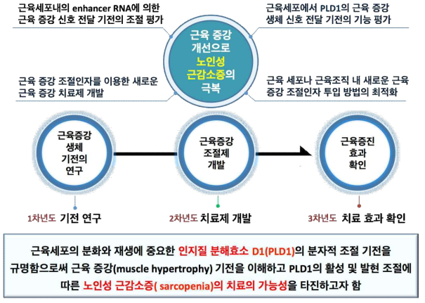 연구의 개요