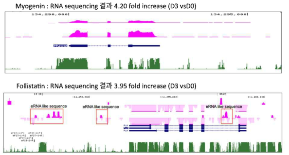 myogenin과 follistatin의 RNA sequnecing 결과 비교