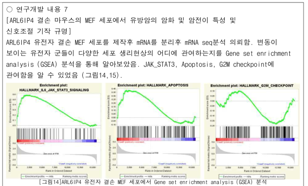 ARL6IP4 유전자 결손 MEF 세포에서 Gene set enrichment analysis (GSEA) 분석