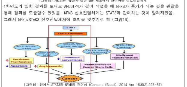 암에서 STAT3와 NFkB의 관련성 (Cancers (Basel). 2014 Apr 16;6(2):926-57)