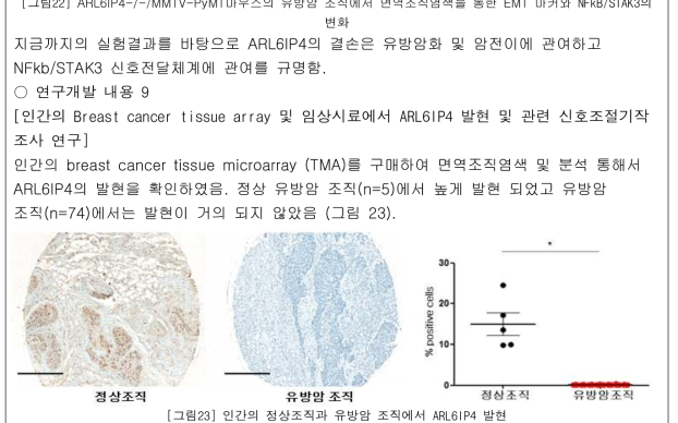 인간의 정상조직과 유방암 조직에서 ARL6IP4 발현