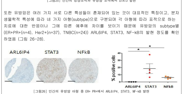 인간의 유방암 아형 중 ER+ PR+에서 ARL6IP4, STAT3, NF-kB 발현