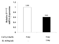 아토피 피부염 in vitro 모델에서 T***7 mRNA 발현