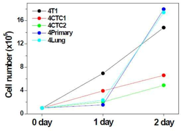 parental CTC1 and CTC2, primary tumor, lung-meta tumor 세포주에서 성장 속도