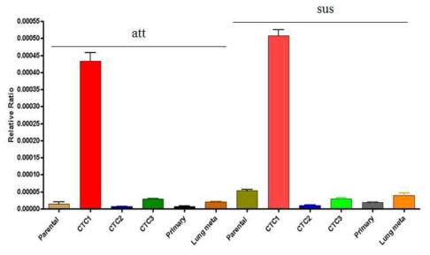 parental CTC1 and CTC2, primary tumor, lung-meta tunor 세포주에서 ynk 유전자 발현 양상 비교