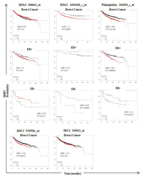 Bioinformatisc를 이용한 유방암 환자의 DSG, DSC PLKG 발현에 따른 생존율