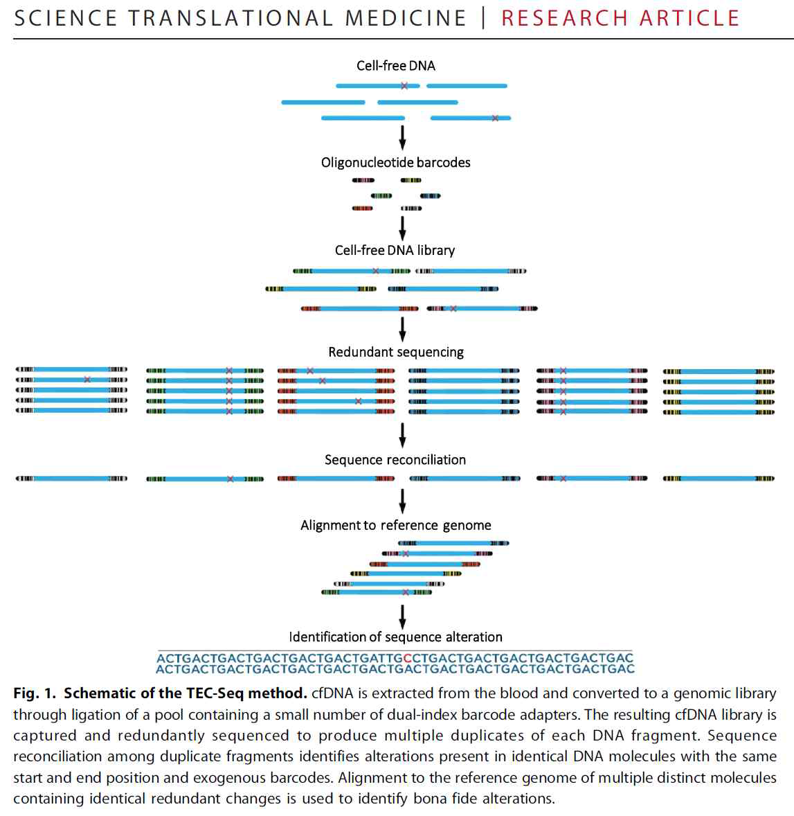 TEC-seq 방법설명