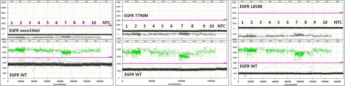 ddPCR 결과 값. EGFR-야생형에 비교하여 EGFR-돌연변이가 거의 나타나지 않음