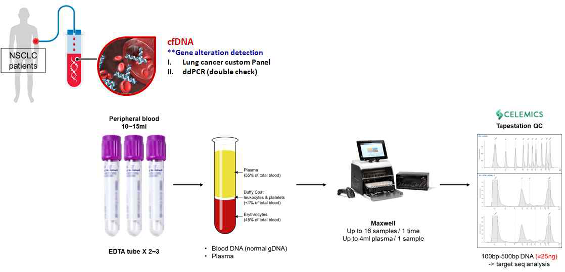 폐암 환자의 혈장에서 cfDNA 분리하여, cfDNA 폐암바코드패널 (target NGS) 분석