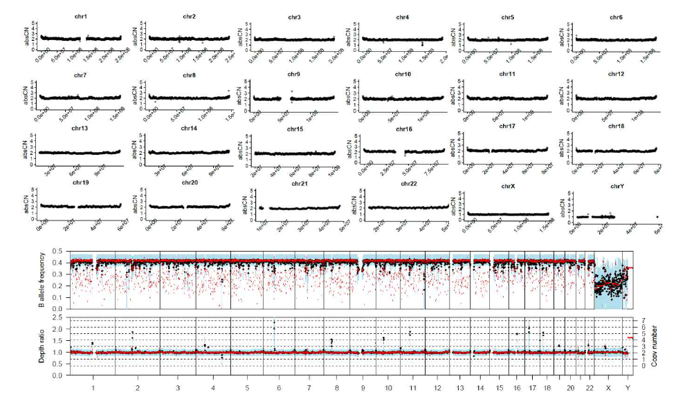 세포의 배양 중에 나타나는 chromosome arm level copy number change는 매우 미미하여 CTC 유래 WGS이 암조직의 copy number alteration을 정확하게 반영 가능함을 확인함